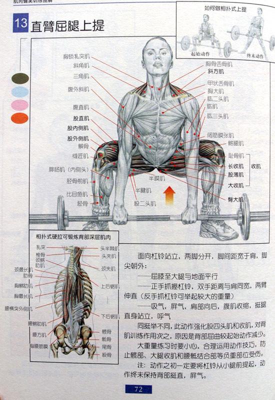 最全杠铃锻炼方法:一文看懂怎么运用杠铃!