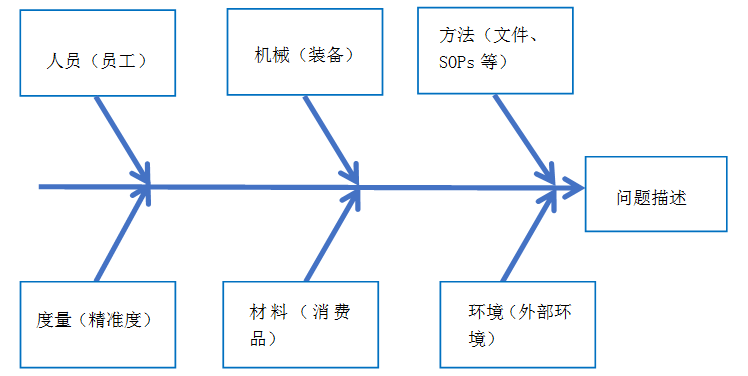 鱼骨图的组织结构不是完全相同的.