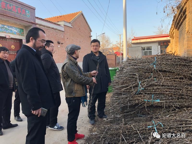 大名来了大人物,到农村进行了走访.