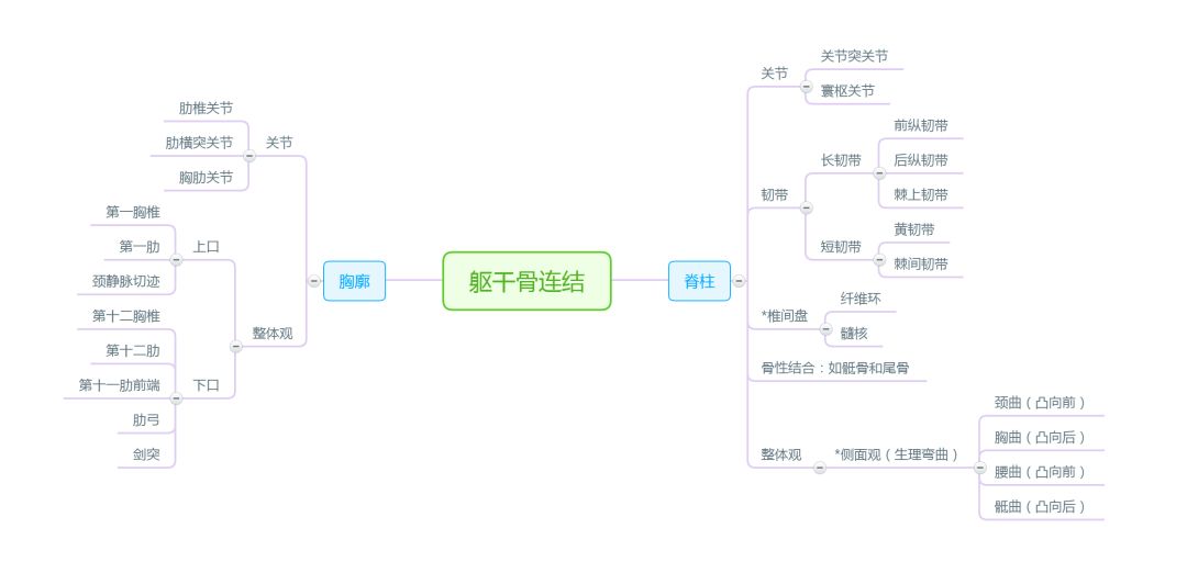 解剖思维导图运动系统