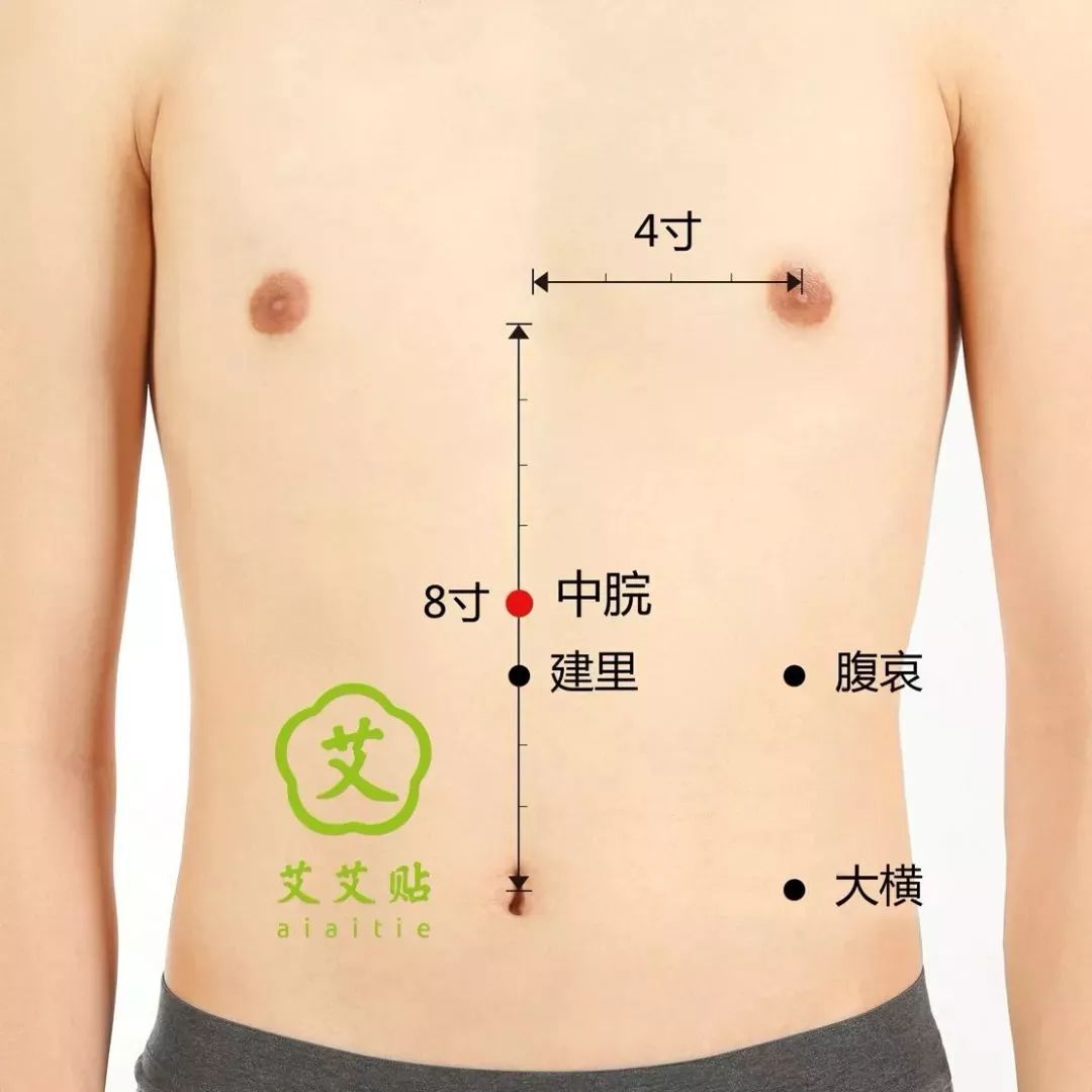 21.胃俞-国家标准针灸穴位-医学