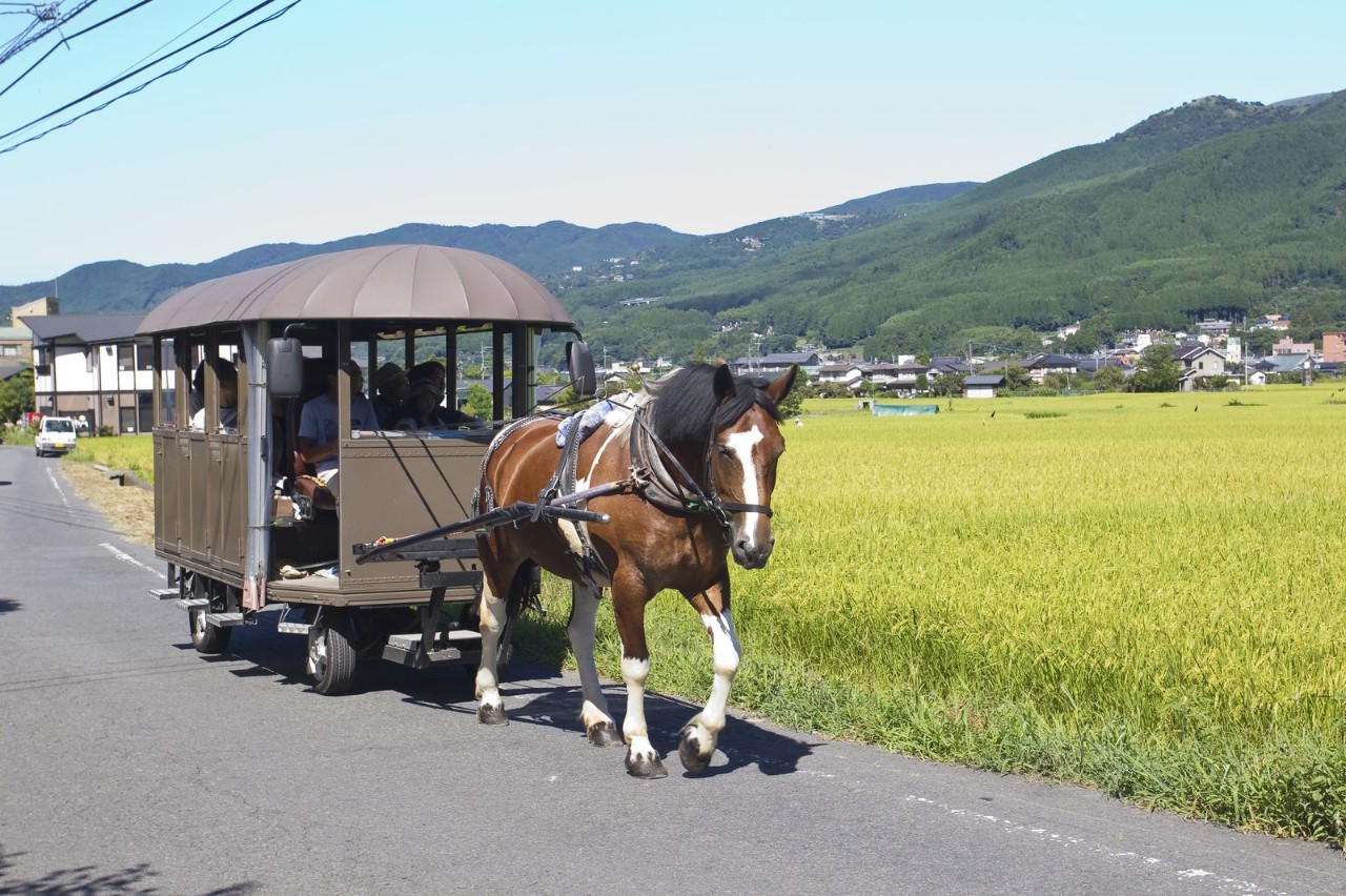 九州丨深受日本人歡迎的由布院溫泉鄉，究竟有多大的魅力？ 旅遊 第18張