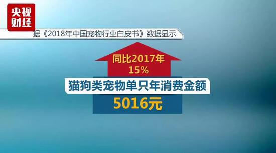 寵物拍照1500一套 萌寵經濟千億大市場瘋狂到尖叫 寵物 第14張