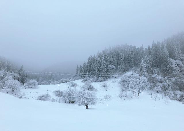 不用去北海道 重庆这个森林公园里拍冰雪奇缘 除雪