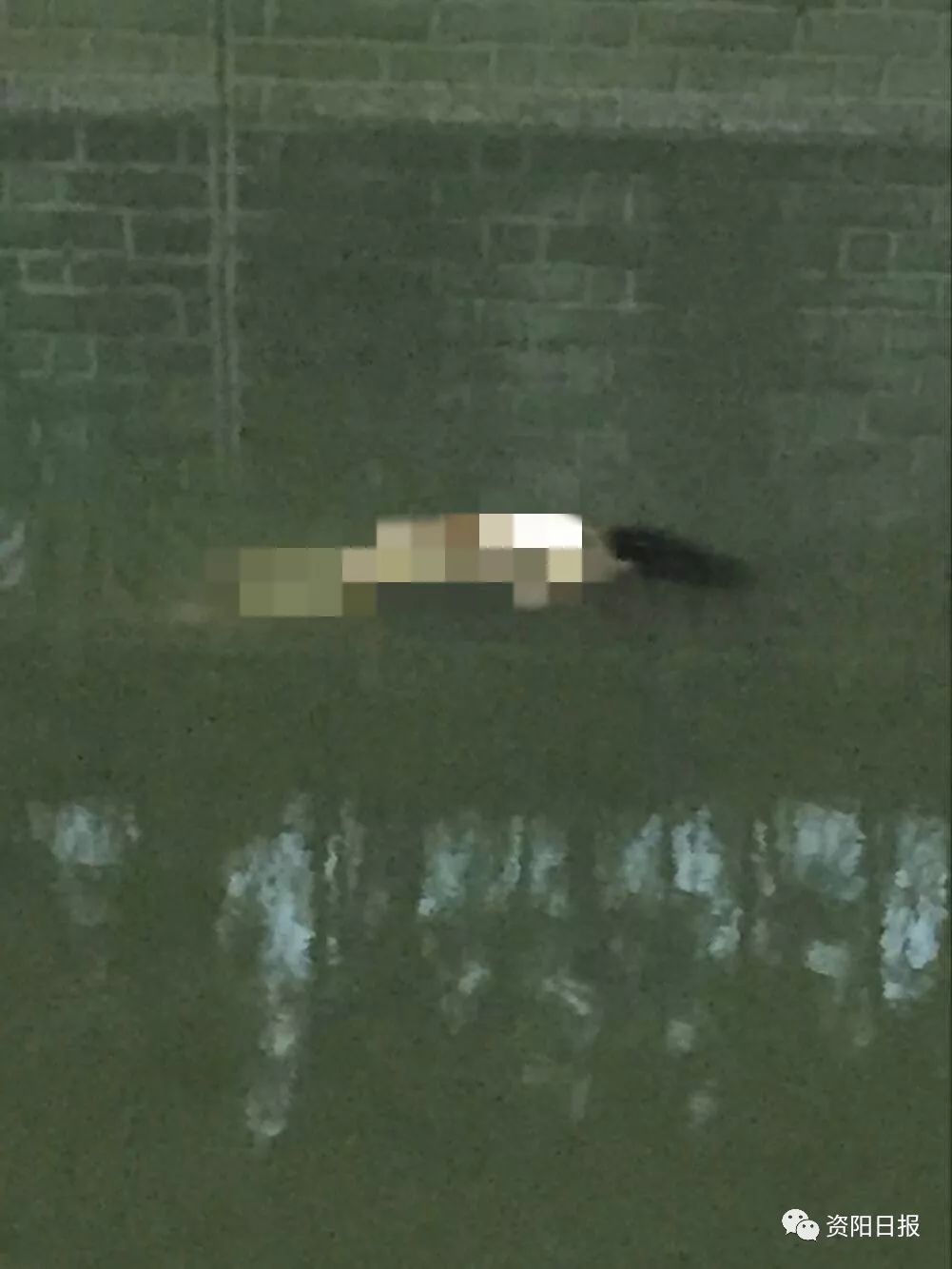 突发||芭蕉林一号桥附近河面今早发现一具女尸