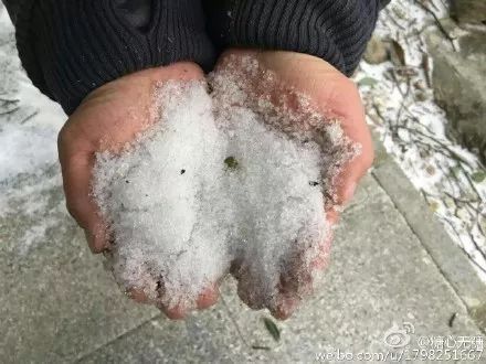 原來，東莞上一次下雪，已經是3年前的事了… 生活 第20張