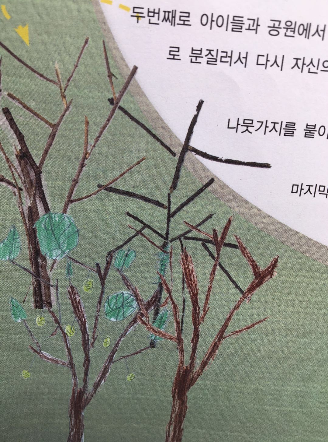 儿童绘画树木并不简单 怎么把一棵树画的更特别呢