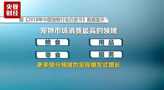 寵物拍照1500一套 萌寵經濟千億大市場瘋狂到尖叫 寵物 第15張