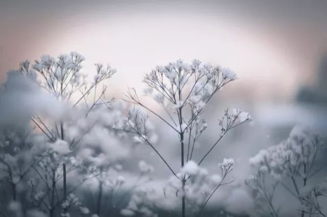 沒錢，也要開心（實在話） 生活 第5張