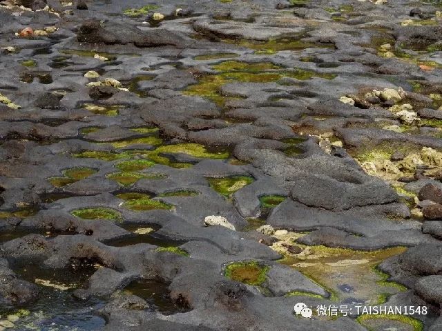 东安村人口_建瓯东安村图片