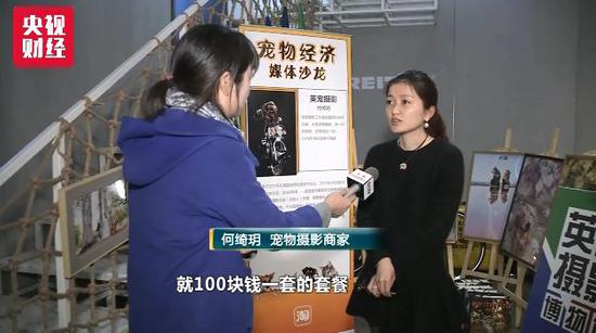 寵物拍照1500一套 萌寵經濟千億大市場瘋狂到尖叫 未分類 第7張