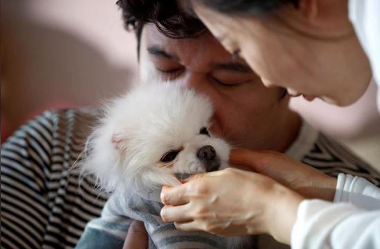 人口危機的韓國：孩子養不起 養寵物更便宜 未分類 第1張