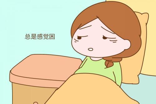 2019怀孕生子的生肖龙,八字测子女缘深浅