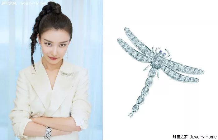 tiffany co 蒂芙尼 蜻蜓胸针