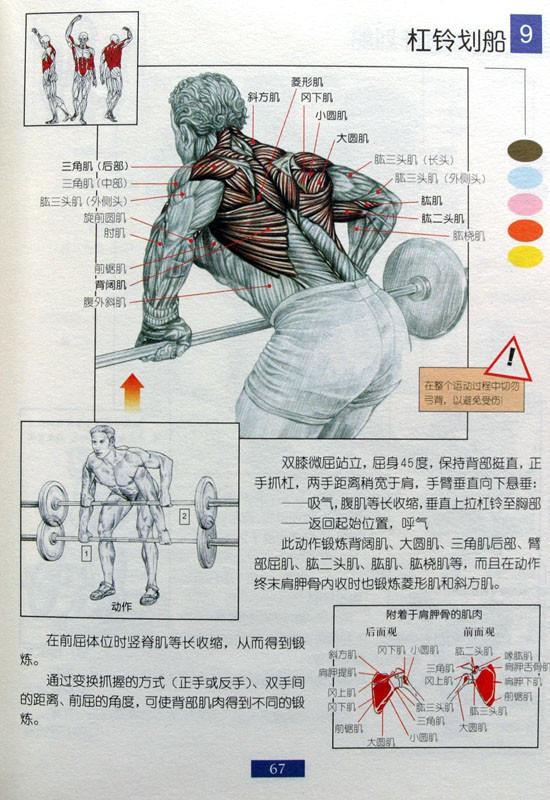 最全杠铃锻炼方法:一文看懂怎么运用杠铃!