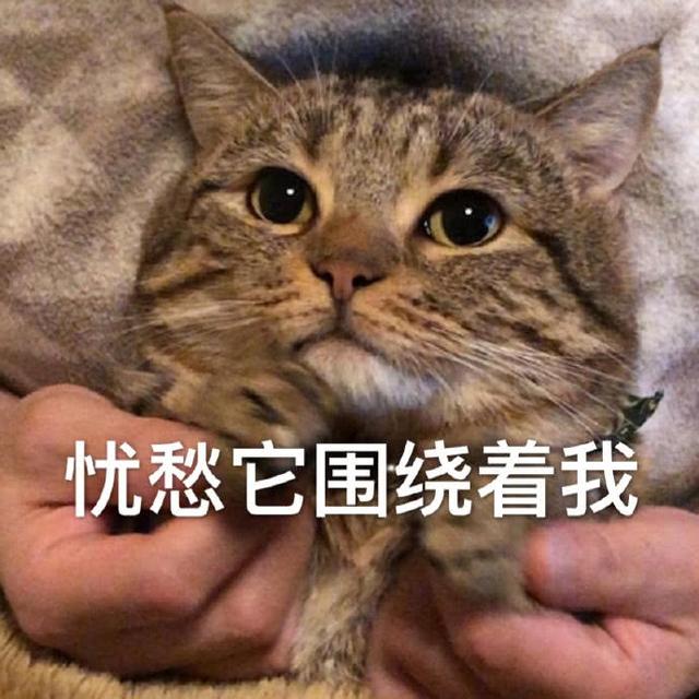 忧愁它围绕着我