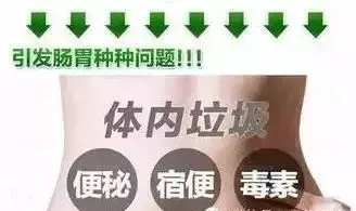 刘睿博:肠道毒素不除,补啥都浪费!