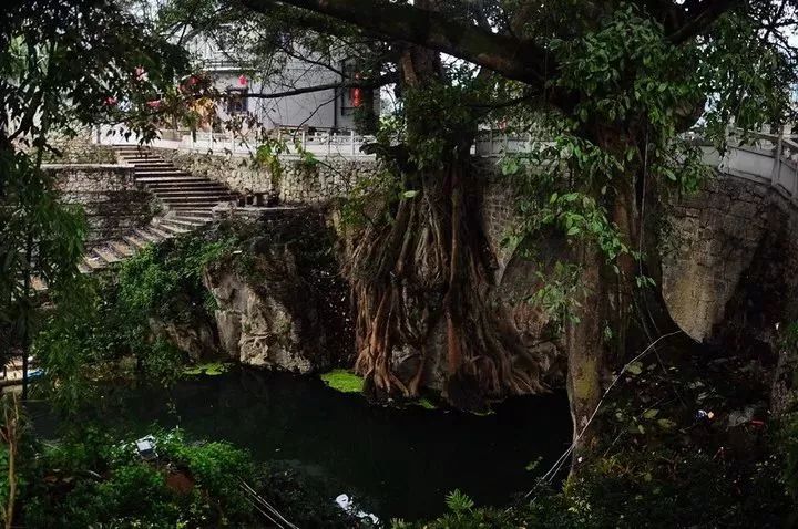 荔波县瑶山瑶族乡菇类村 黔西县红林苗族乡雷响孔村 长顺县鼓扬镇