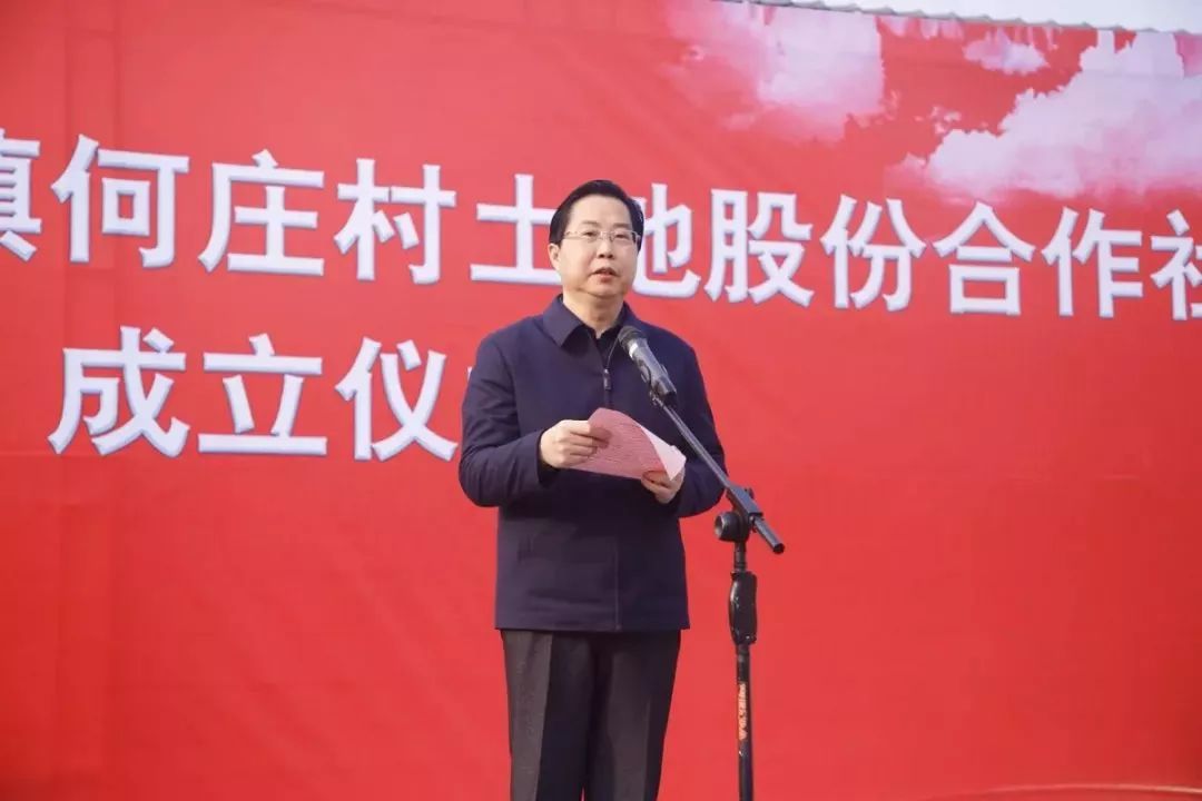 市委常委,市纪委书记,市监委主任赵树锋,副市长王大金为股东代表