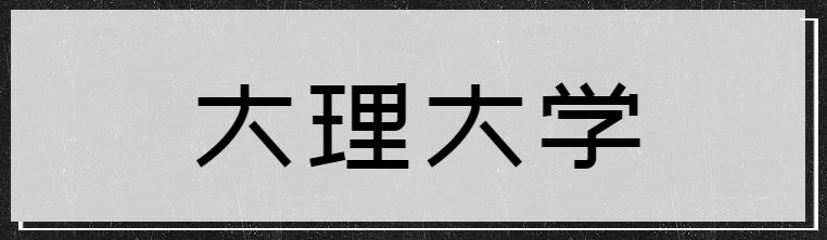 2018年大理大学排名319名