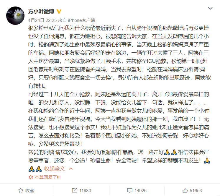 谭松韵妈妈车祸肇事者已投案自首,事发前有饮酒行为,已刑事拘留