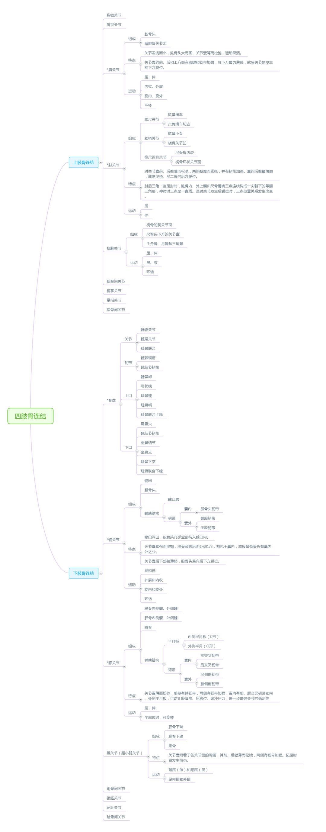 解剖思维导图——运动系统