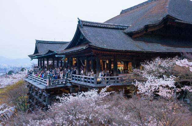 東京貴又吵？千年古都賞雪醉櫻，物價低三分之一，55元遊遍全城！ 未分類 第20張