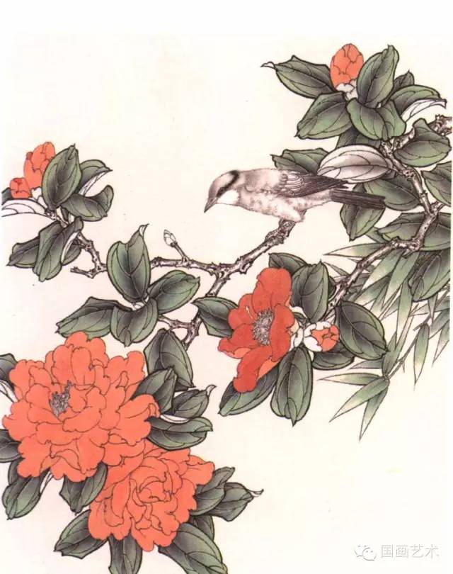 工笔茶花画法及线描画谱