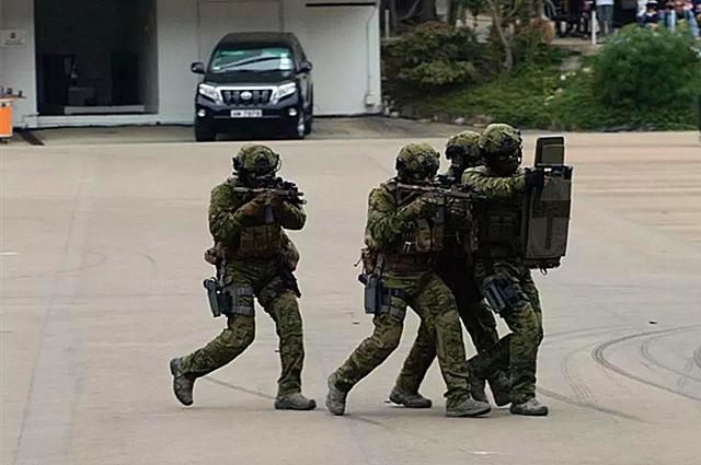 军事丨香港警队大汇演警民同乐,共同创建世界最安全的城市!