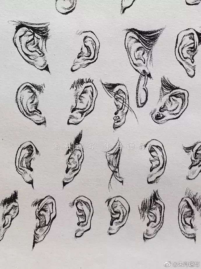 " 画出耳朵形体 然后找出对耳屏,对耳轮,耳屏,耳垂,耳舟,耳甲腔 如下