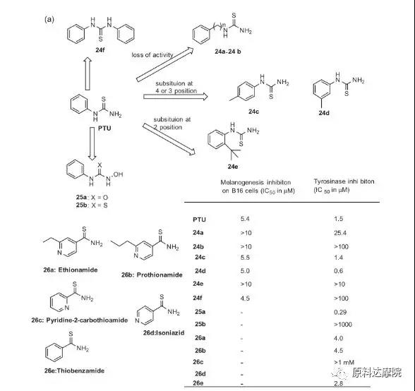 皮肤美白剂:酪氨酸酶抑制剂的药物化学前景(下)