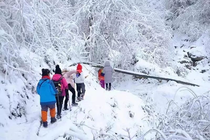 成都周边私藏6处耍雪秘境,一天打来回!_彭州