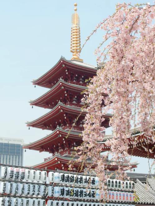 東京貴又吵？千年古都賞雪醉櫻，物價低三分之一，55元遊遍全城！ 未分類 第5張