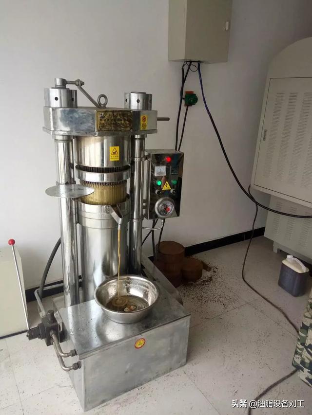 立式液压榨油机压榨油茶籽成为香饽饽,销量暴涨1000台