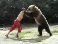 搞笑gif動態圖：跟狗熊摔跤，你也真是有創意 搞笑 第1張