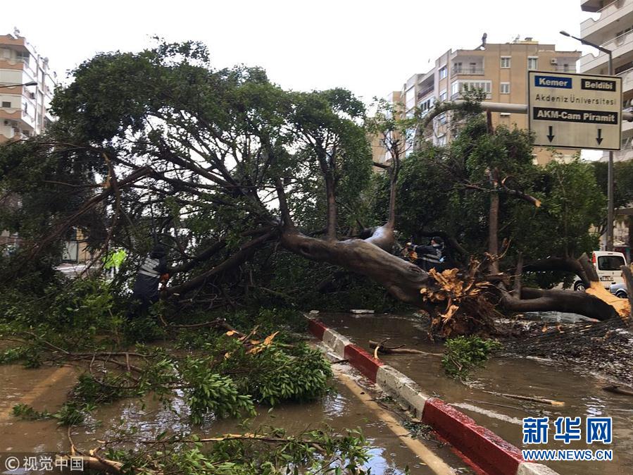 土耳其地中海沿岸遭遇強龍捲風 溫室大棚被掀翻損失慘重 國際 第3張