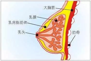 是真的!69岁老汉查出乳腺癌,出现这些情形赶紧去检查!