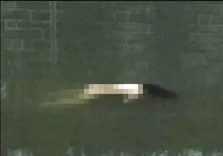 1月23日上午,在资阳市芭蕉林小区门口河里,发现一具女尸,发现时身上