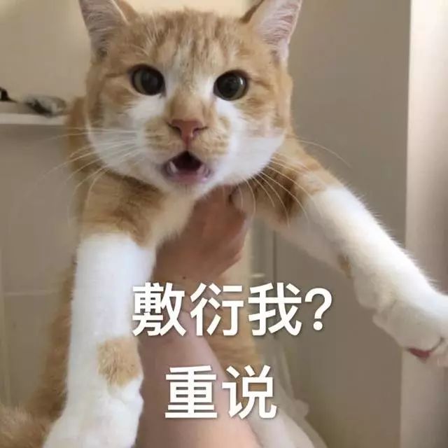 敷衍我?重说