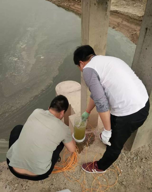 衡水湖引水沿线水质监测采样