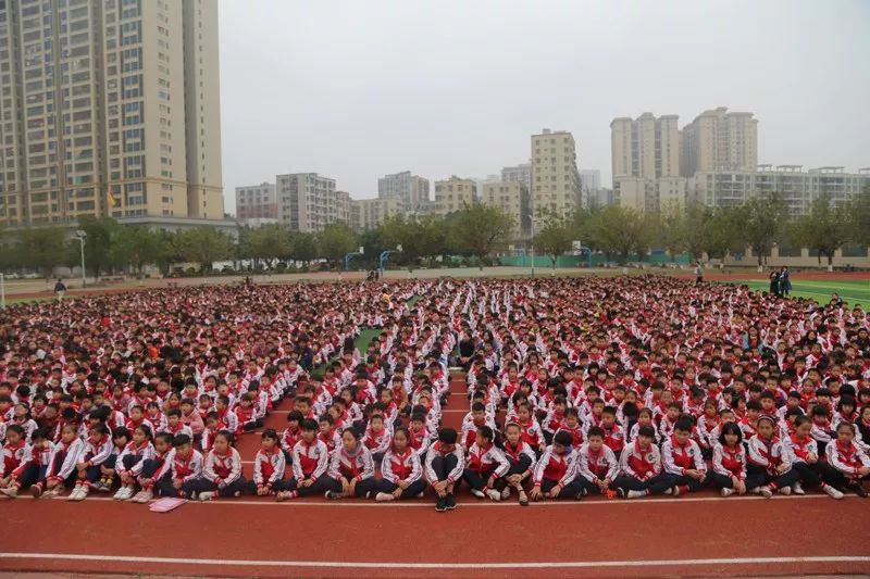 春节前看看雷州公安这一周期都在干什么