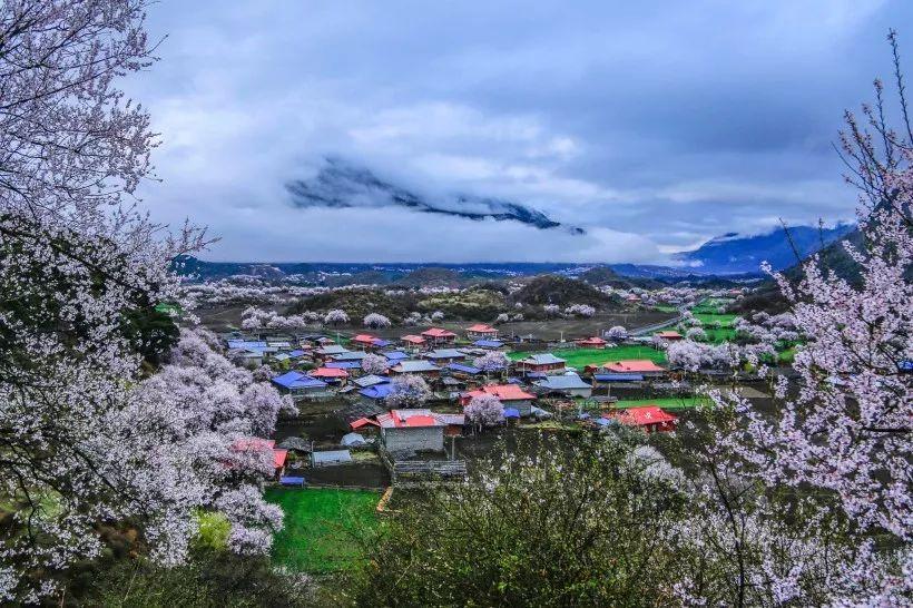 西藏林芝市总人口多少_西藏林芝市公众村(3)