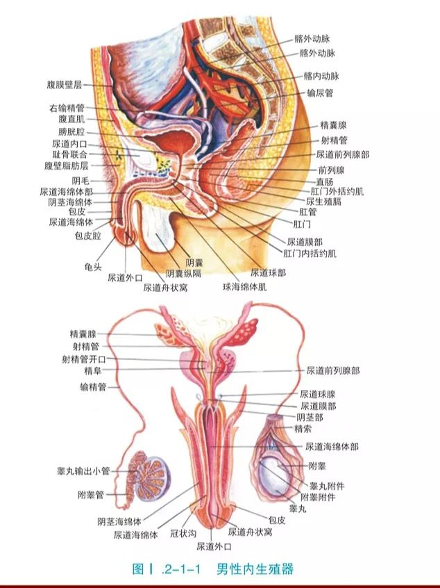 无知父亲见婴儿肚脐鼓起竟用刀划破肚皮放气