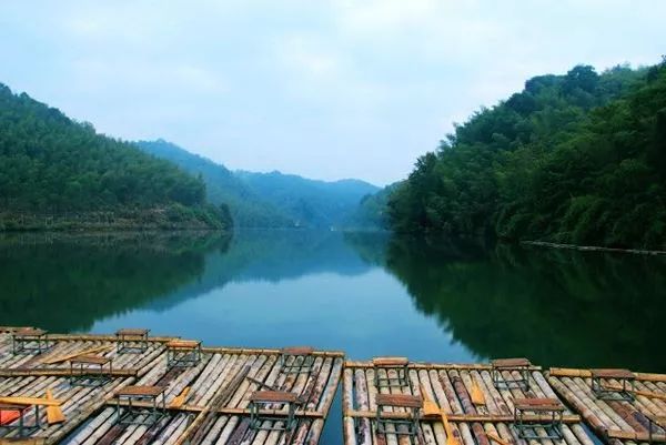 鹅公圩镇岸口村多少人口_钟山珊瑚镇金鹅村(2)