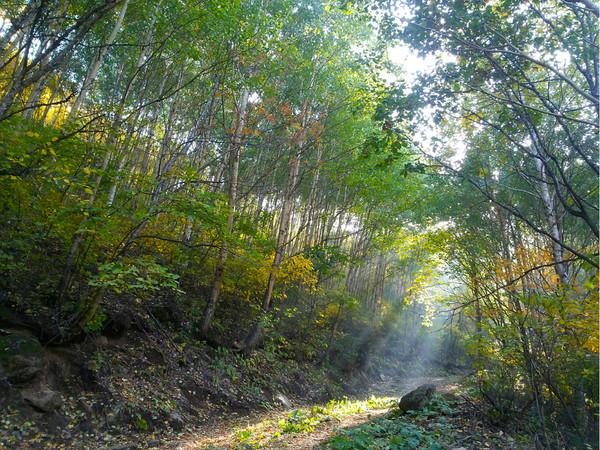 原創
            北京帶「二」的地名大盤點，沒有最二，只有更二 旅遊 第5張