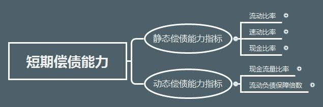 酒鬼酒短期偿债能力分析