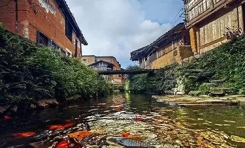 周宁鲤鱼溪景区