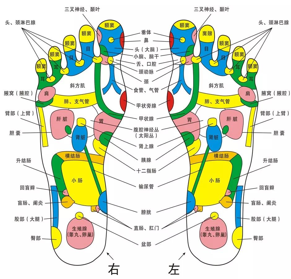 足浴人口_人口普查图片(2)