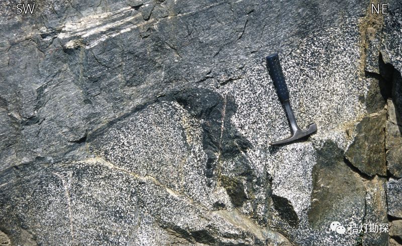 159 视域宽度200m,辉长岩块被封闭在糜棱岩化剪切带中.