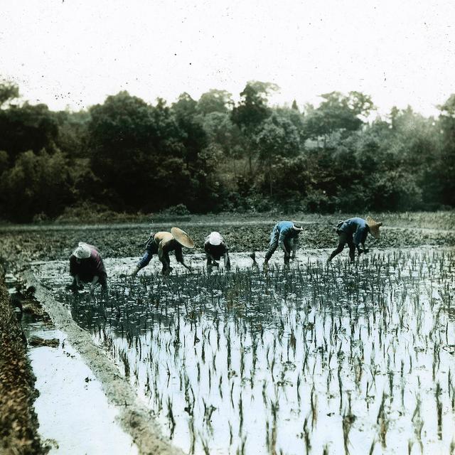 日本生活1872年，日光横滨濑户内海